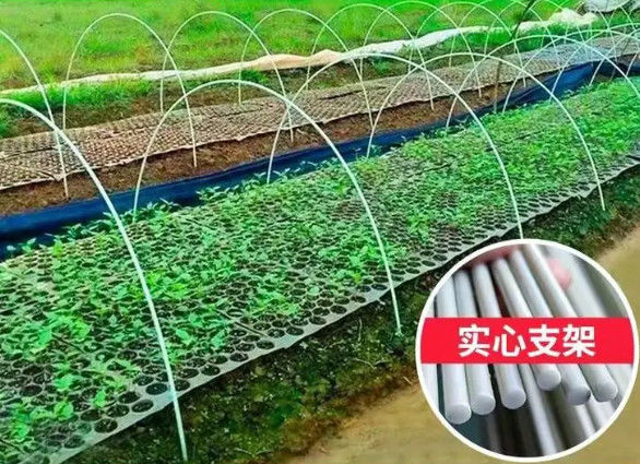 Pręt z tworzywa sztucznego wzmocnionego włóknem 10 mm Elastyczne pręty z włókna szklanego do sadzenia w szklarniach