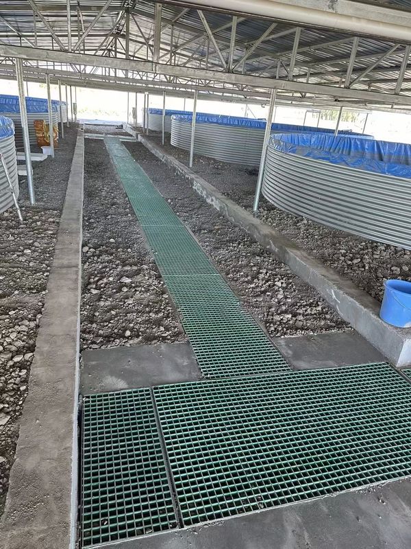 Ryba Farm FRP kratki chodnik lub platforma może być dostosowana do rozmiaru i koloru