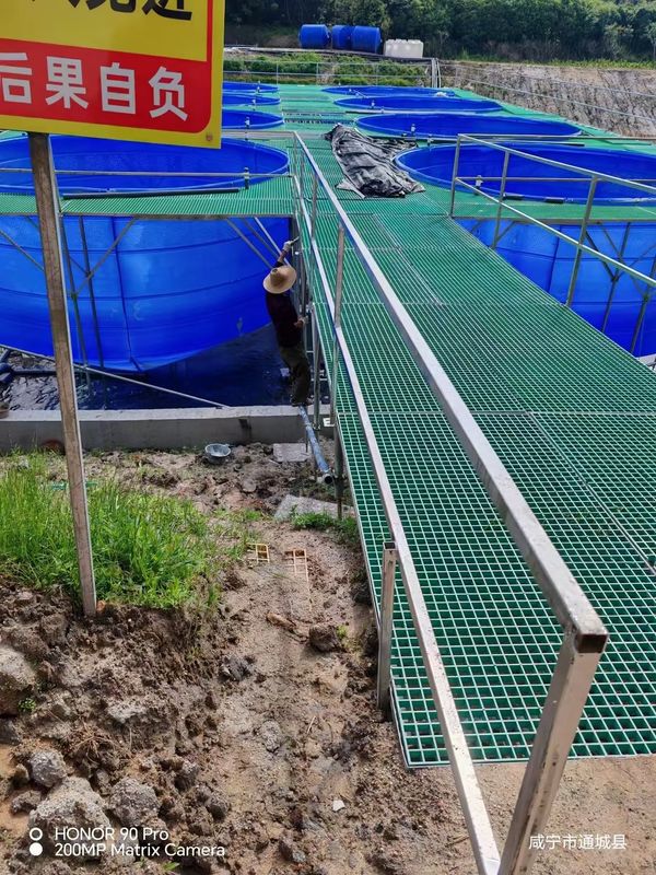 Ryba Farm FRP kratki chodnik lub platforma może być dostosowana do rozmiaru i koloru